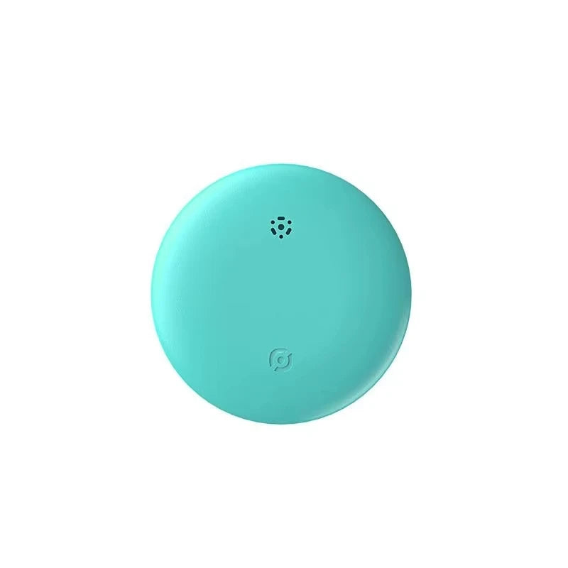 GPS Tracker Tag