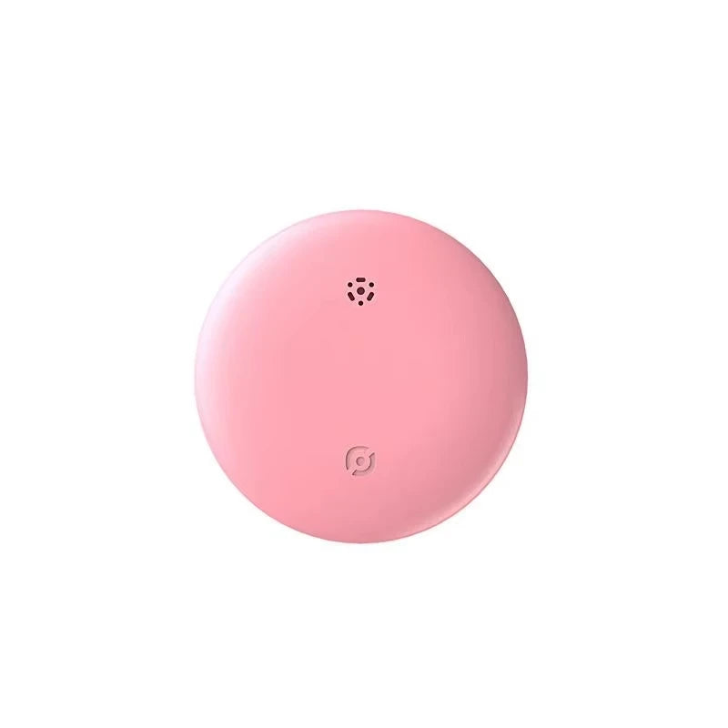 GPS Tracker Tag