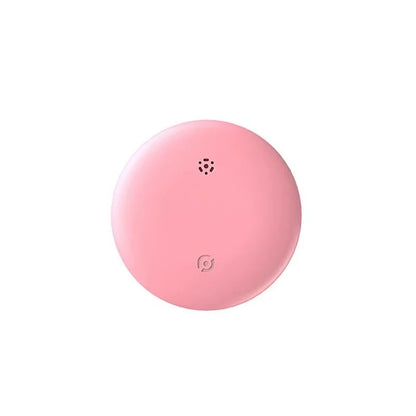 GPS Tracker Tag
