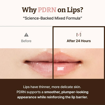 Dr.Reju-All PDRN Lip Serum